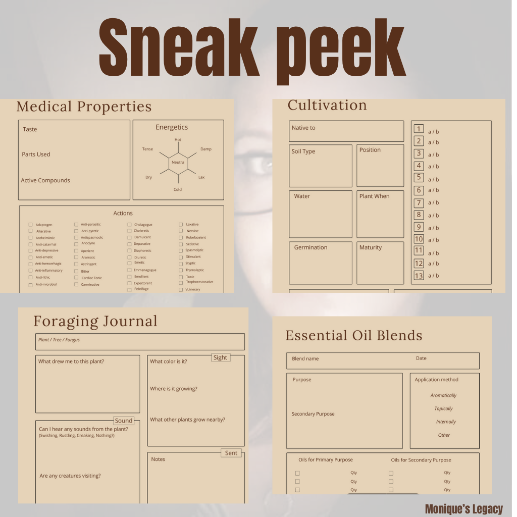 Herbs and Essential oils Planner